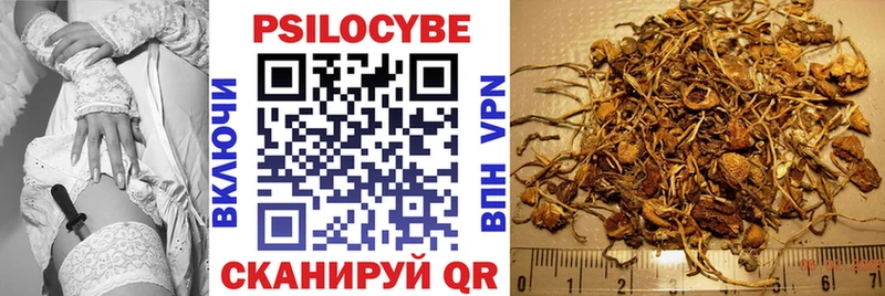 Псилоцибиновые грибы мицелий  Купить  Нея 
